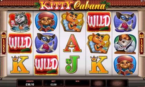 Casino kitty bar