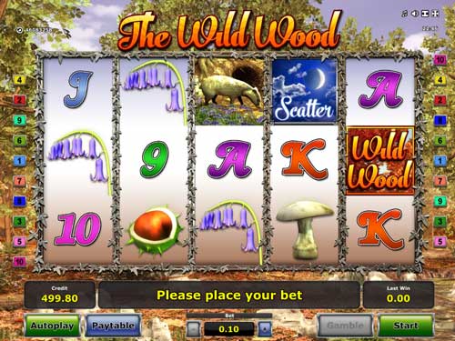 The Wild Wood - Casumo Casino The Wild Wood - Casumo Casino
