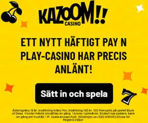 Kazoom Casino med Pay'N Play