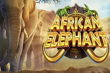 African Elephant slot