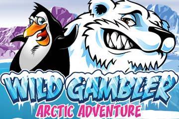 Wild Gambler Arctic Adventure slot