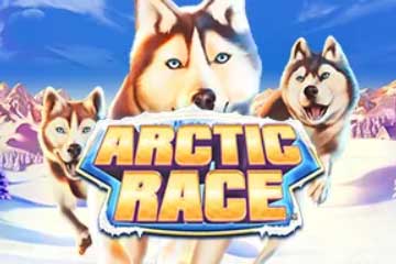 Arctic Race slot