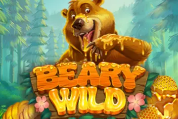 Beary Wild slot