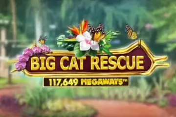 Big Cat Rescue Megaways slot