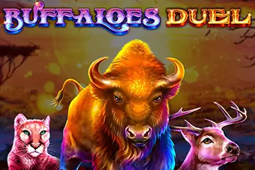 Buffaloes Duel
