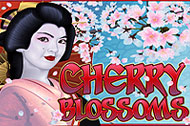 Cherry Blossoms slot