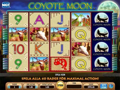 Coyote Moon slot