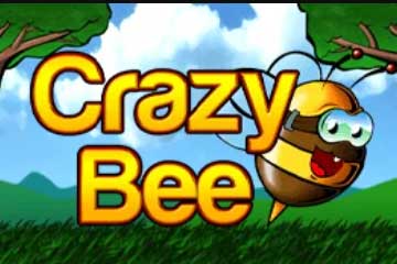 Crazy Bee slot