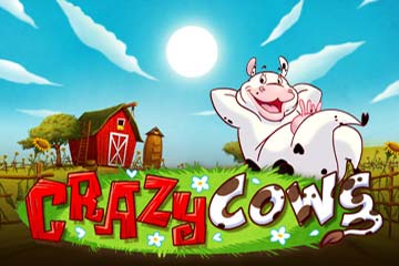 Crazy Cows slot