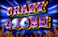 Crazy Goose slot