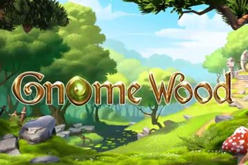 Gnome Wood slot