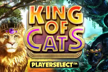 King of Cats Megaways