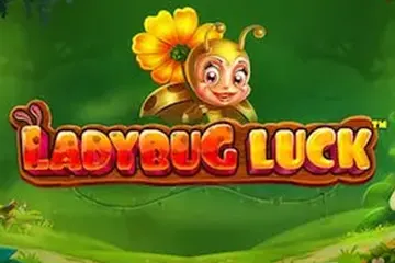 Ladybug Luck slot