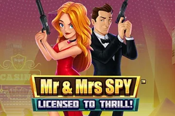 Mr and Mrs Spy slot
