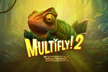 MultiFly 2 slot