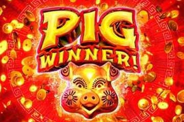 Pig Winner slot