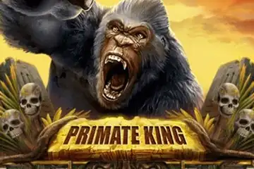 Primate King slot