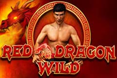 Red Dragon Wild slot