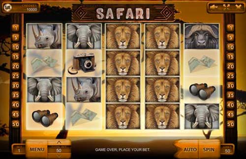 Safari slot