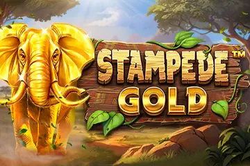 Stampede Gold slot