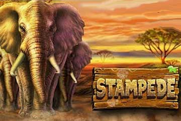 Stampede slot