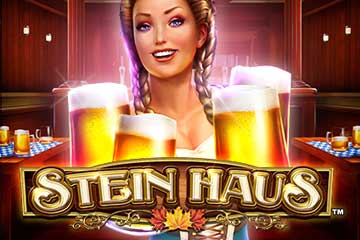 Stein Haus slot