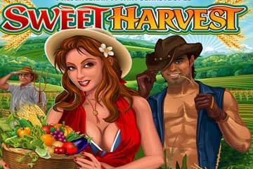Sweet Harvest slot