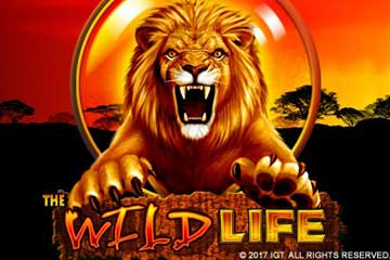 The Wild Life slot