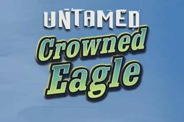 Untamed Crowned Eagle slot
