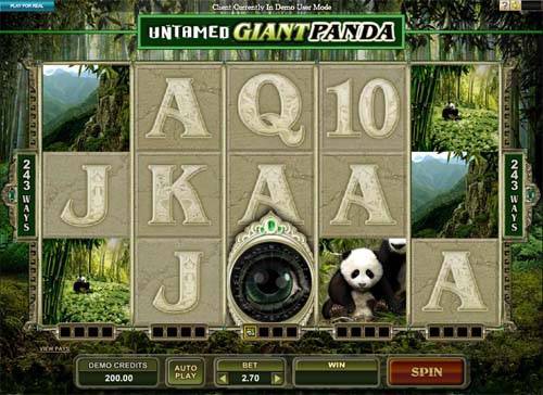 Untamed Giant Panda slot