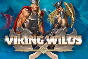 Viking Wilds slot