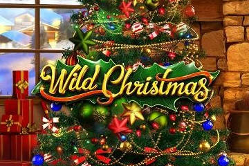 Wild Christmas slot