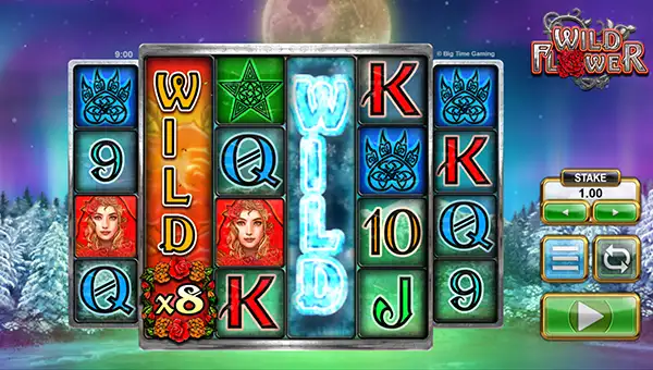 Wild Flower slot
