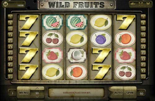 Wild Fruits slot