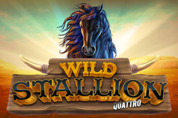 Wild Stallion