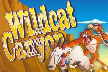 Wildcat Canyon slot