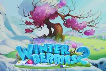 Winter Berries 2 slot