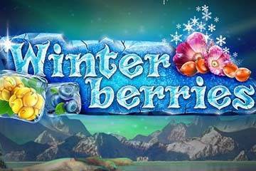 Winter Berries slot